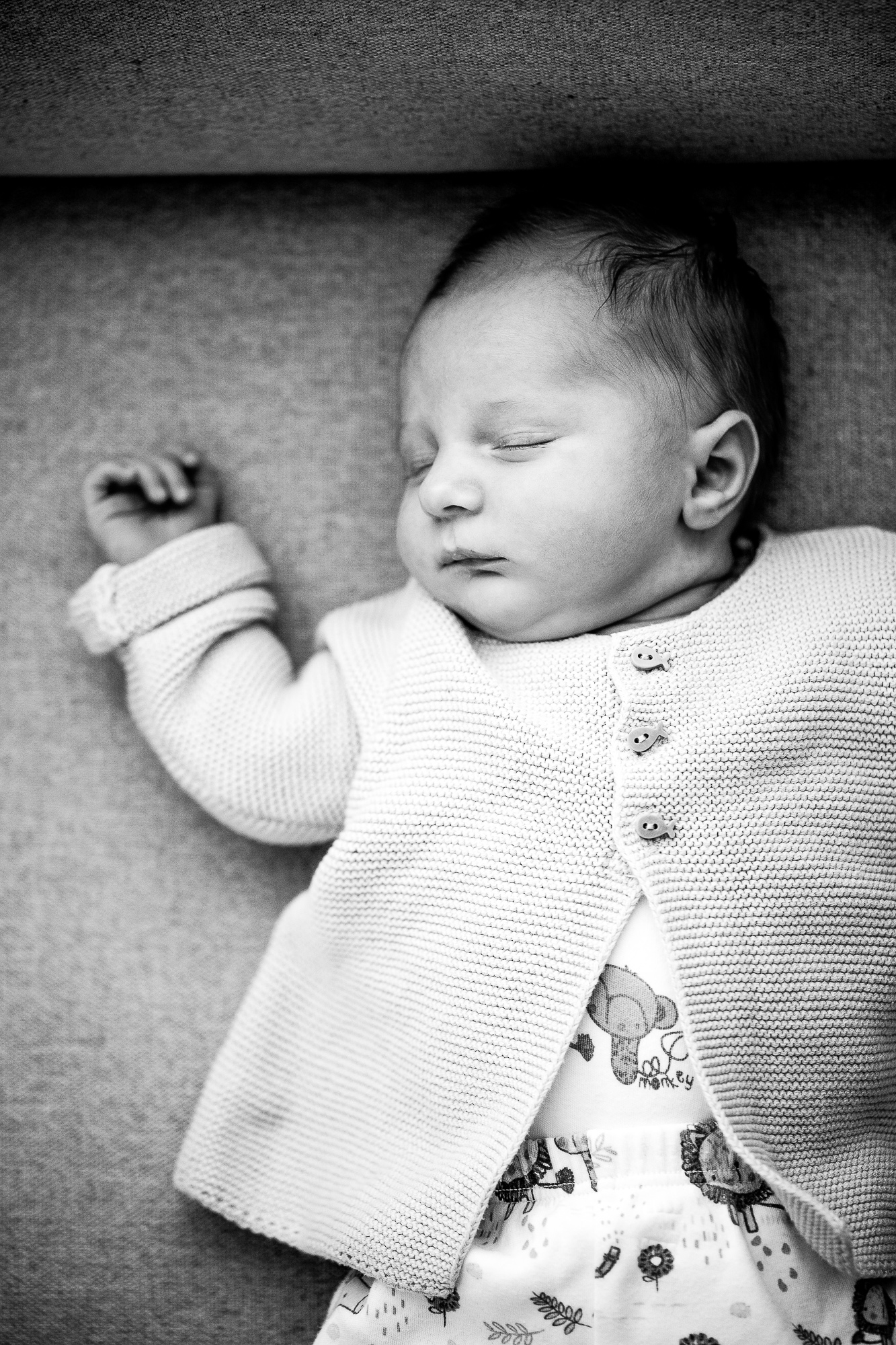 Export x3 1DX28353 Bearbeitet Familienfotoshooting 2019 Hefti 2